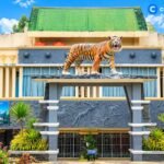 Taman Margasatwa dan Budaya Kinantan